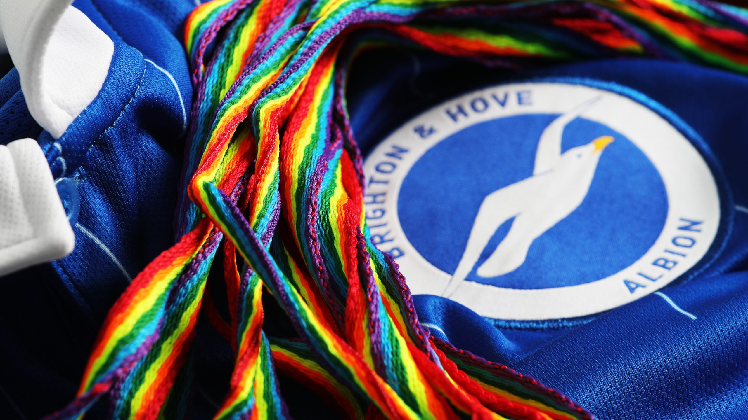 brighton & hove albion symbol